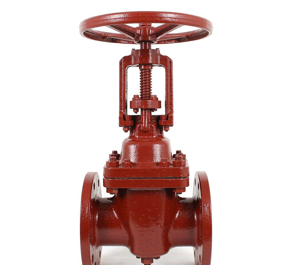 Swing check valve